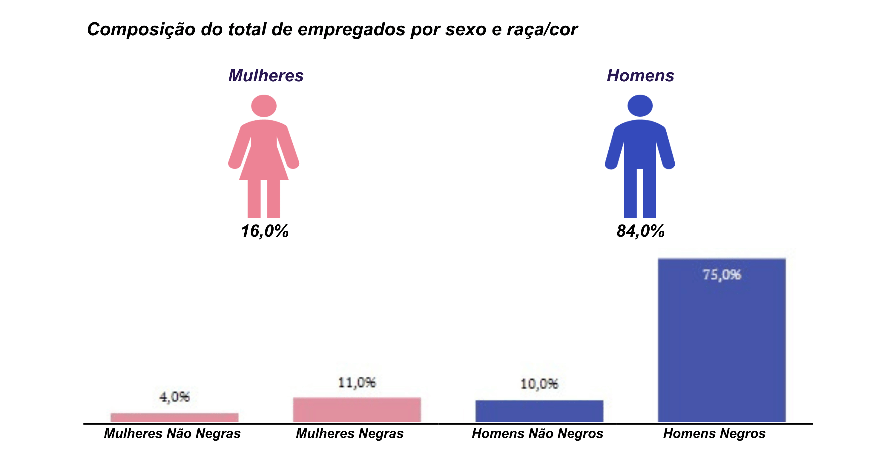 Composição de Empregados por Sexo e Raça/Cor