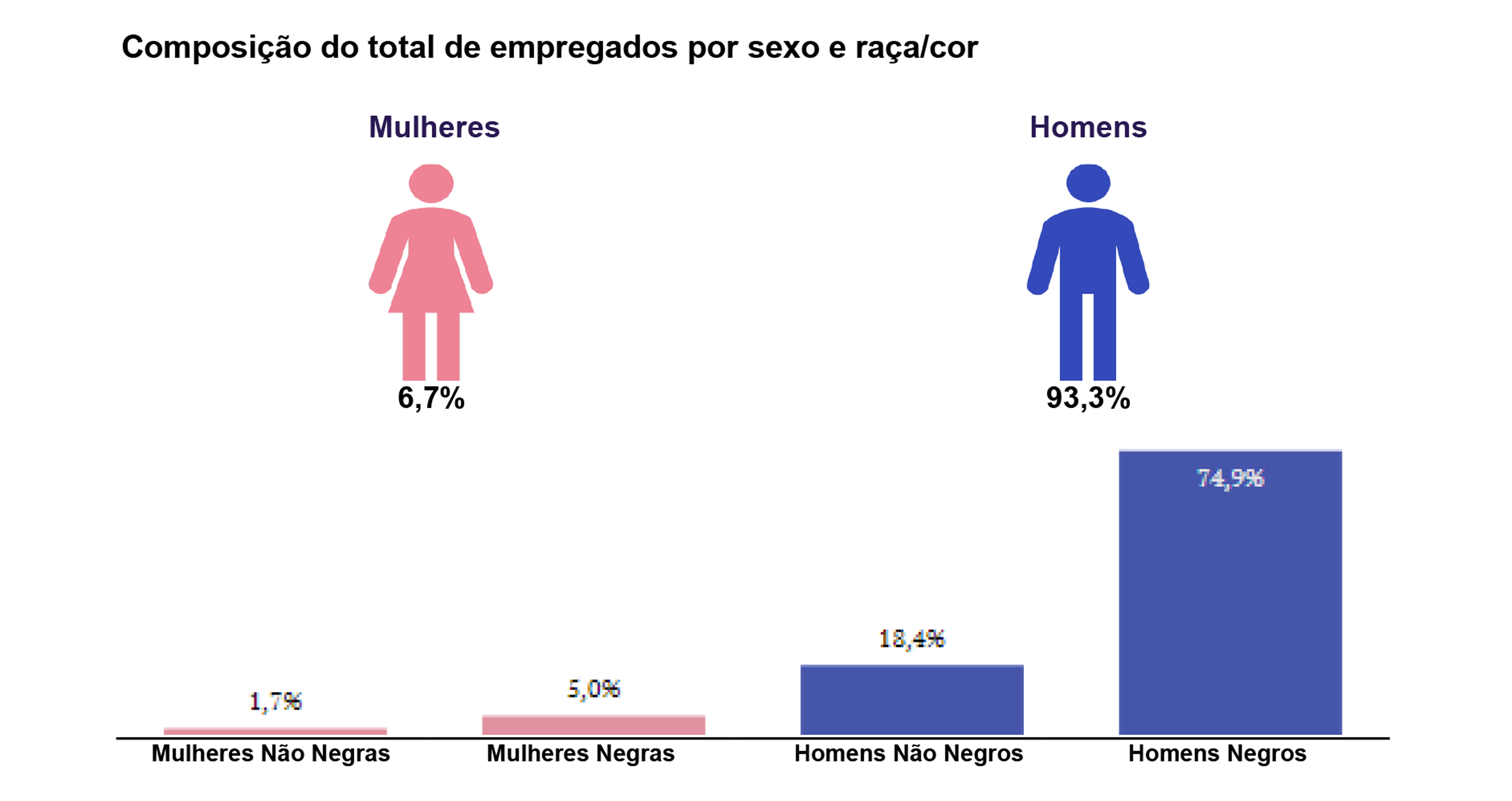 Composição de Empregados por Sexo e Raça/Cor
